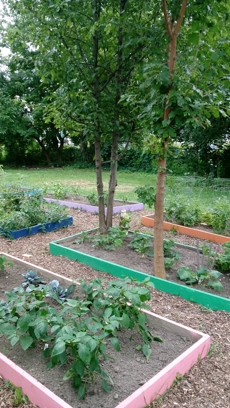 Futures Community Garden | 155 Orange St, Buffalo, NY 14204, USA | Phone: (716) 783-9653