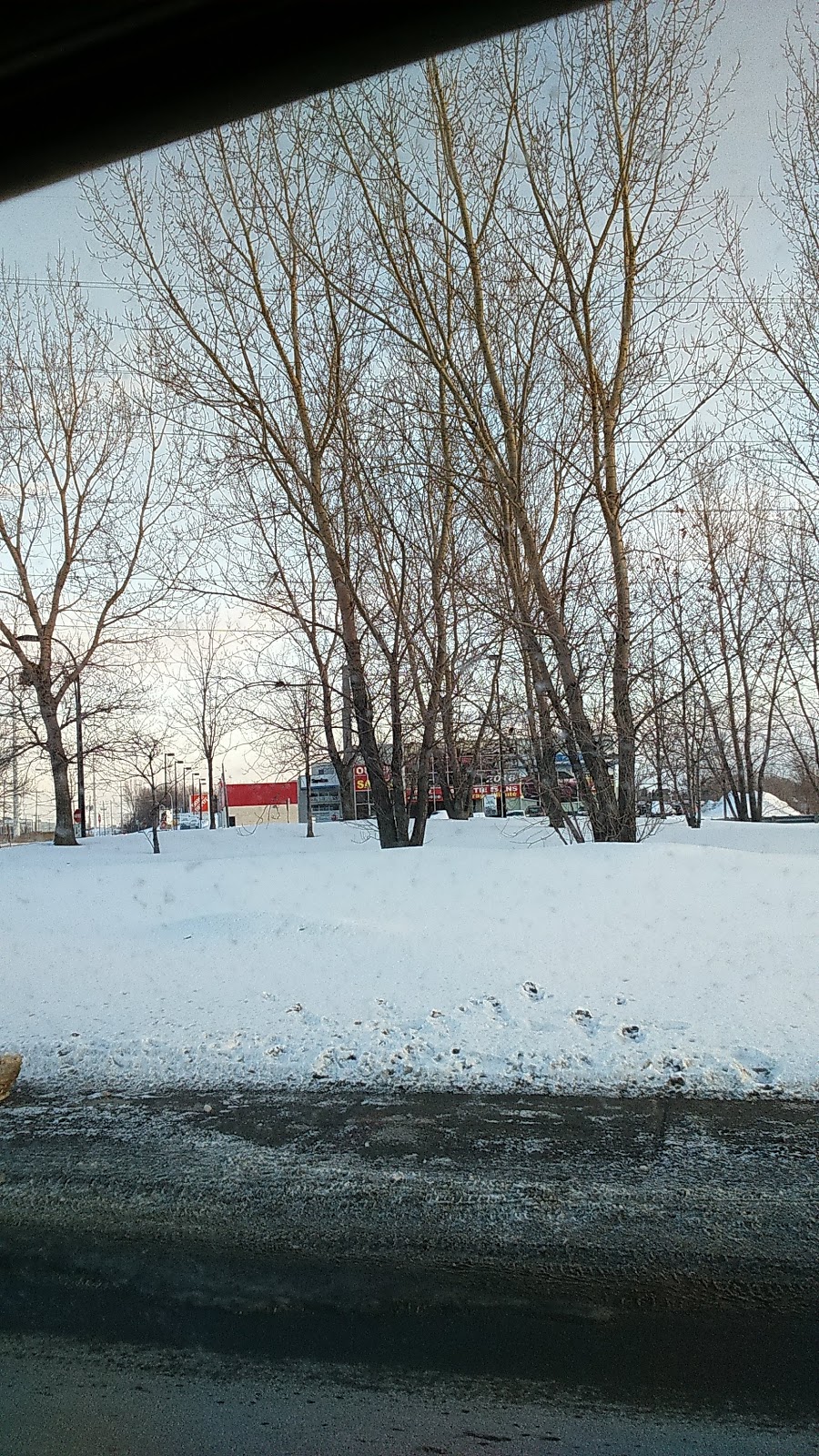 Parc De La Bruère | Avenue Dubuisson, Montréal, QC H1L, Canada