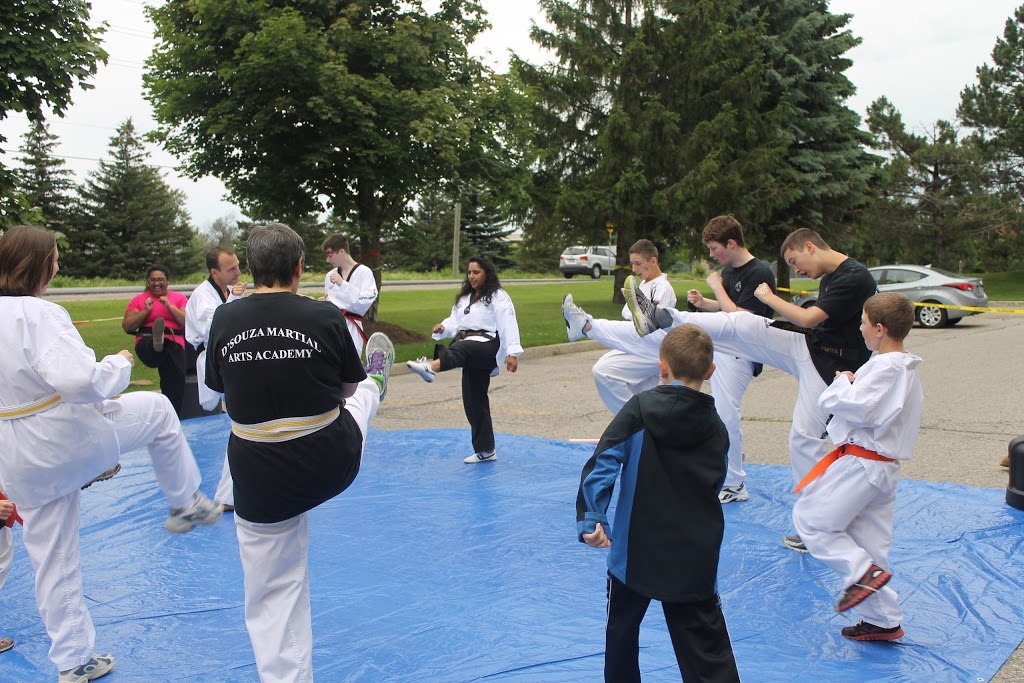 DSouza Martial Arts Academy | 60 Bathurst Dr #17, Waterloo, ON N2V 2A9, Canada | Phone: (519) 725-5550