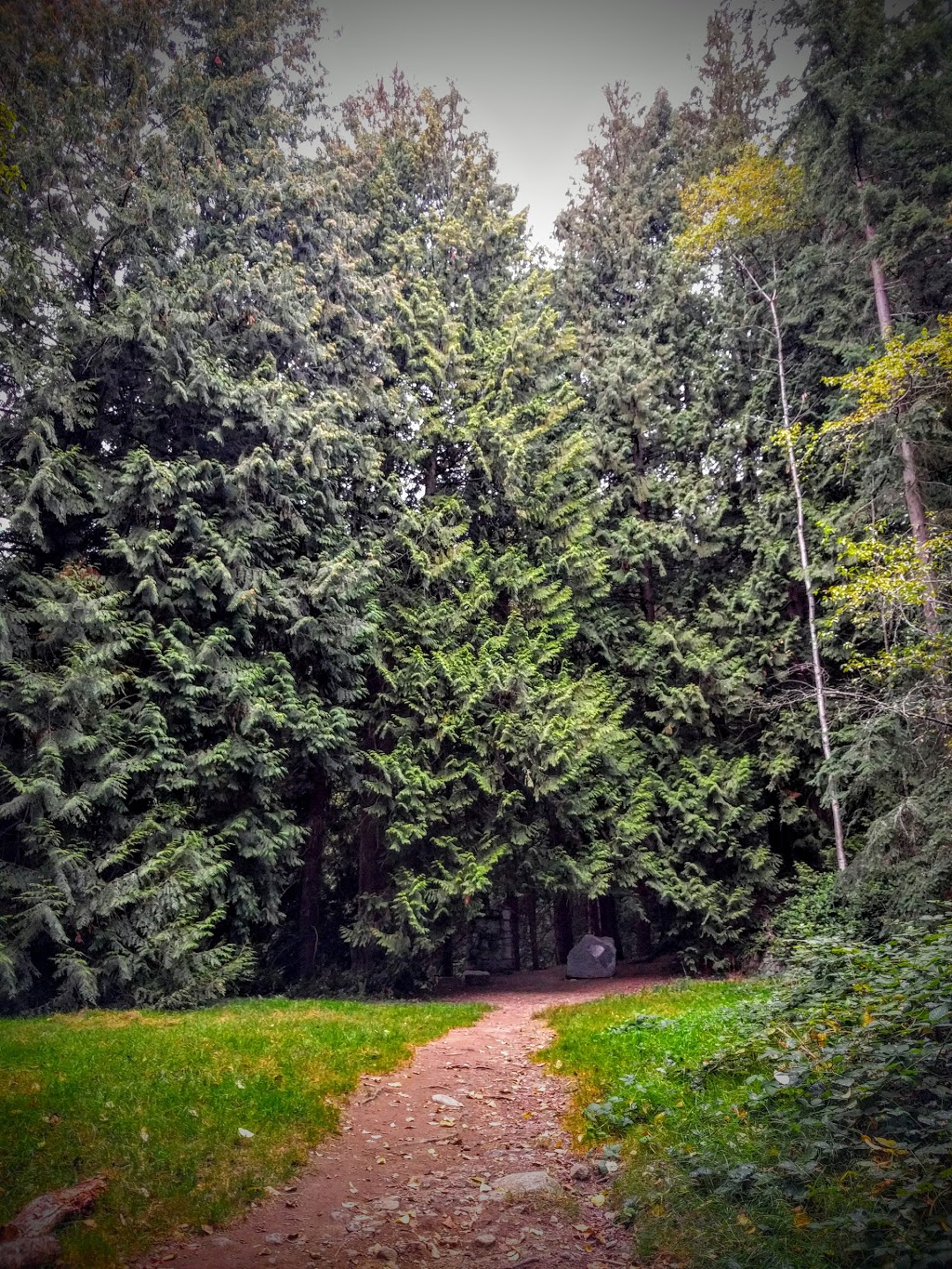 Douglas Woodward Park | West Vancouver, BC V7S, Canada