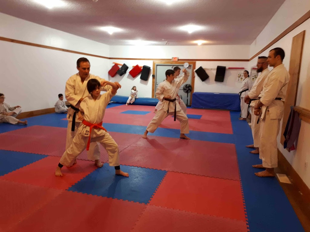 Port Alberni Wado Kai Karate | 4090 Hollywood St, Port Alberni, BC V9Y 4B3, Canada | Phone: (250) 735-9394