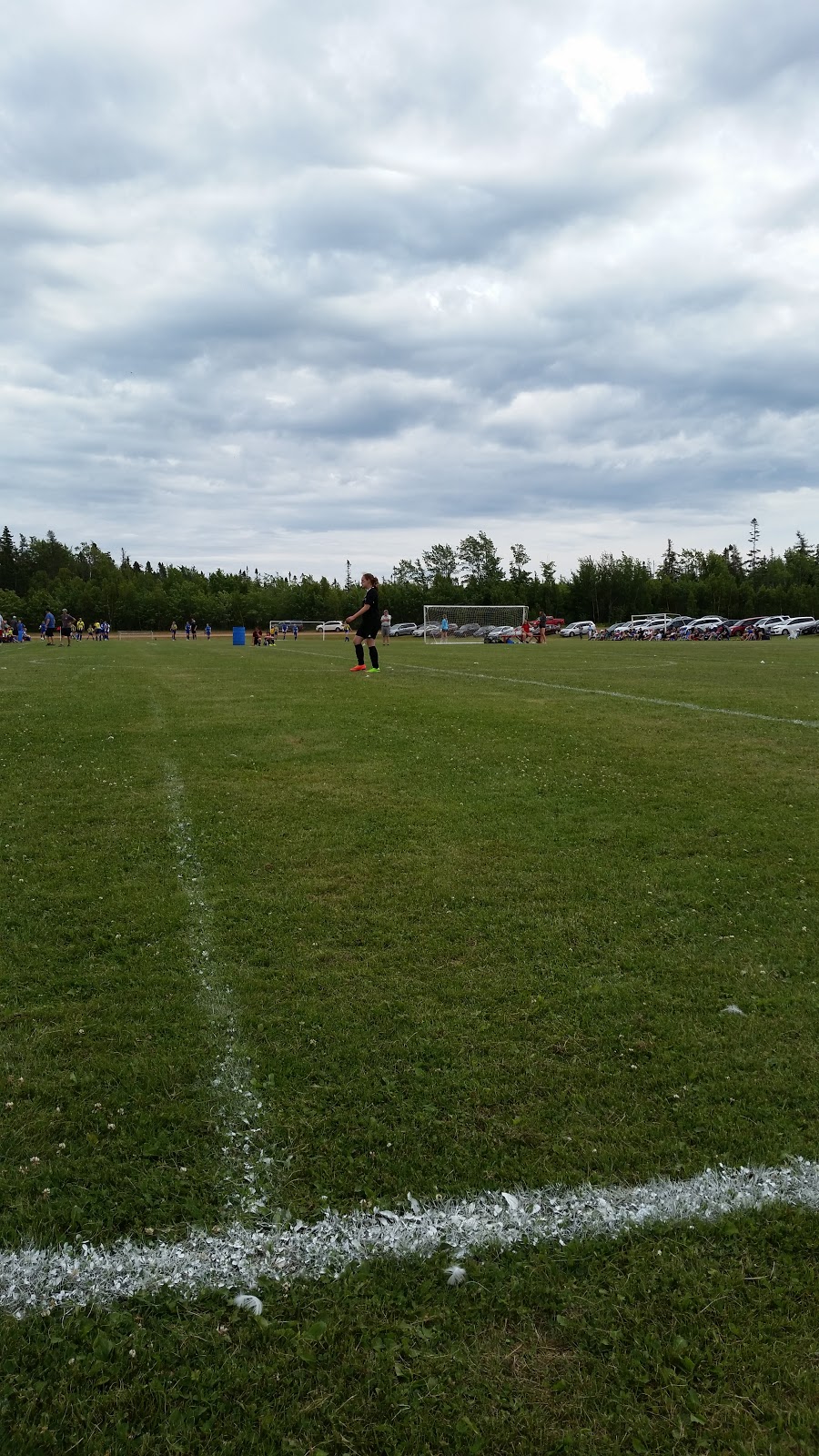 Eastern Eagles Soccer Complex | 117 Douses Rd, Lower, Montague, PE C0A 1R0, Canada | Phone: (902) 838-3480