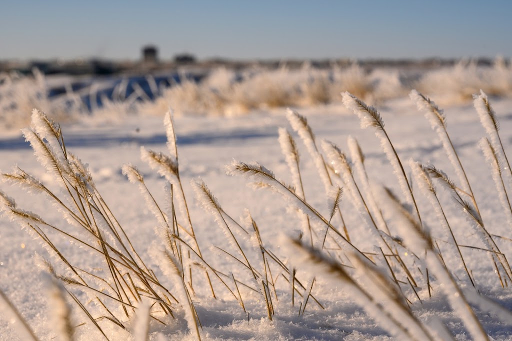 Nutrien Ag Solutions | 1428 11th St, Coaldale, AB T1M 1M2, Canada | Phone: (403) 345-2180