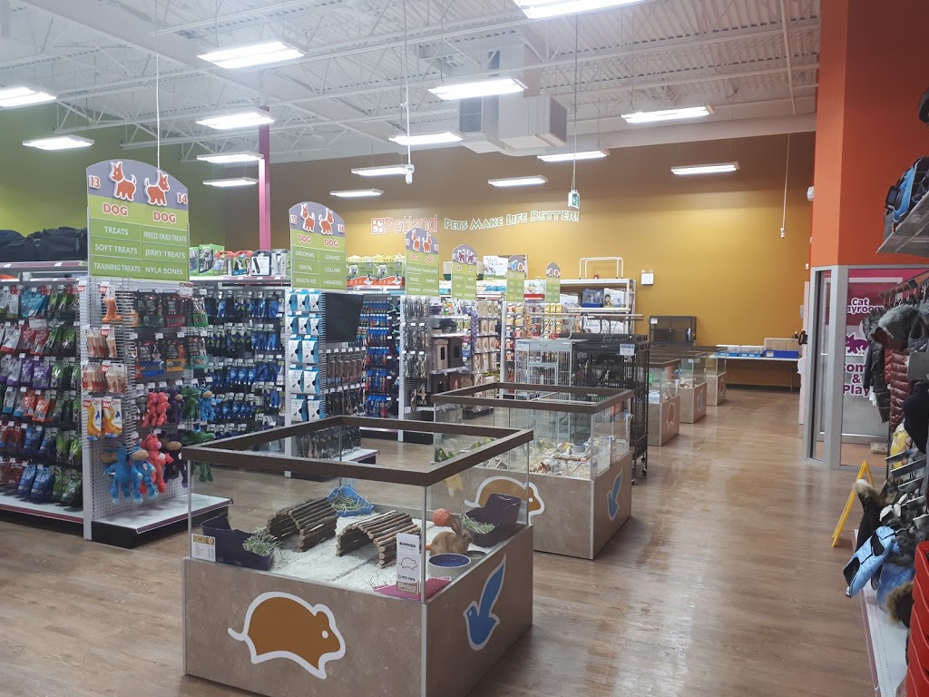 Petland | 210-170 Ebony Blvd, Sherwood Park, AB T8H 0P5, Canada | Phone: (587) 456-6882