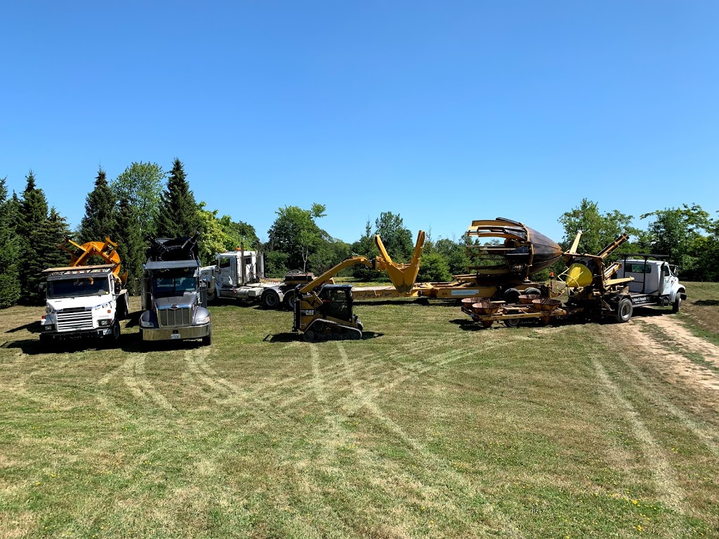Treemendous Tree Sales and Transplanting | 80182 Front Rd, Clinton, ON N0M 1L0, Canada | Phone: (519) 233-3300