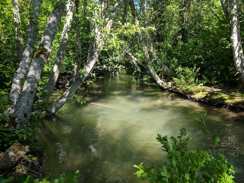 Alpha Lake Park | Whistler, BC V0N 0A0, Canada | Phone: (800) 944-7853