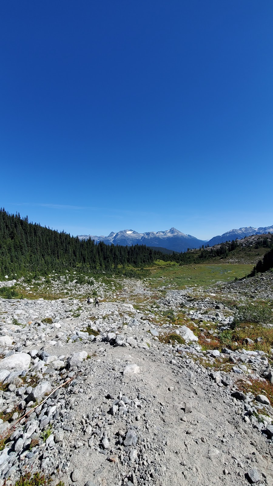 Skywalk Trailhead | Mountain View Dr, Whistler, BC V0N 1B8, Canada | Phone: (604) 754-8993