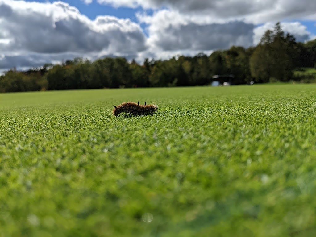 Lost Creek Golf Club | 310 Kinsac Rd, Beaver Bank, NS B4G 1C7, Canada | Phone: (902) 865-4653