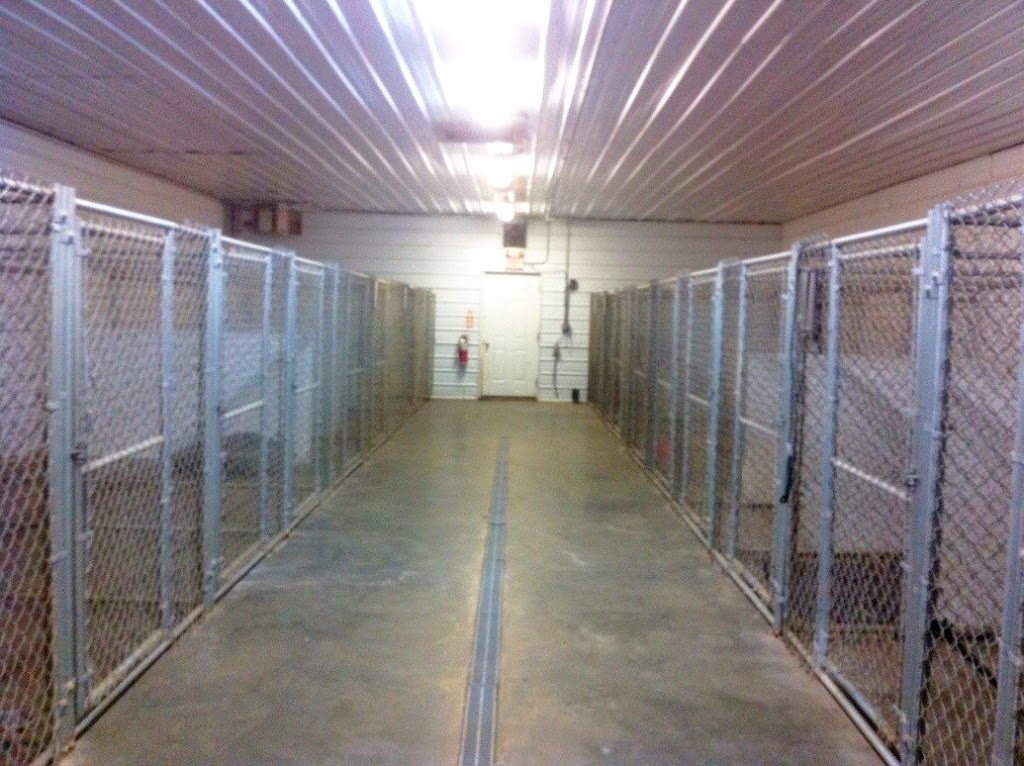 Kilwinning Kennels | 51063 Range Rd 224, Sherwood Park, AB T8C 1H1, Canada | Phone: (780) 996-4523