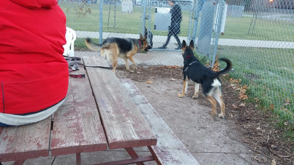 Carol Disher Leash Free Dog Park | 69 Catherine St, St. Catharines, ON L2R 7R5, Canada | Phone: (905) 688-5600