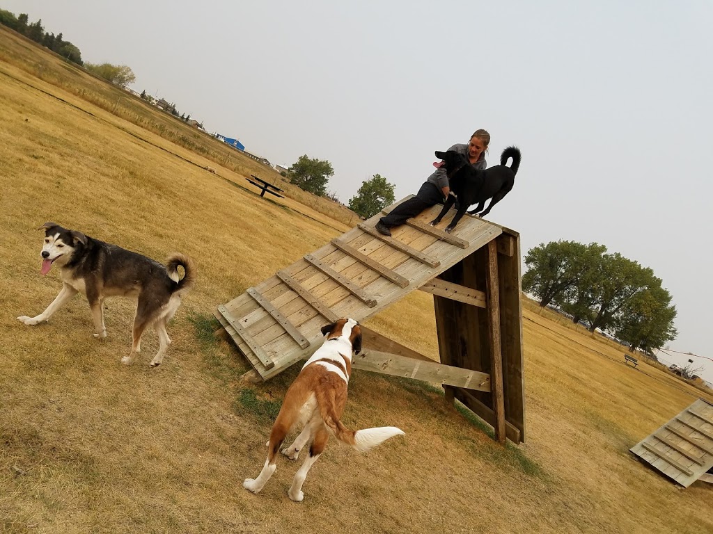 Town of Strathmore Dog Park | F 1V1, 99 Slater Rd, Strathmore, AB T1P 1R8, Canada