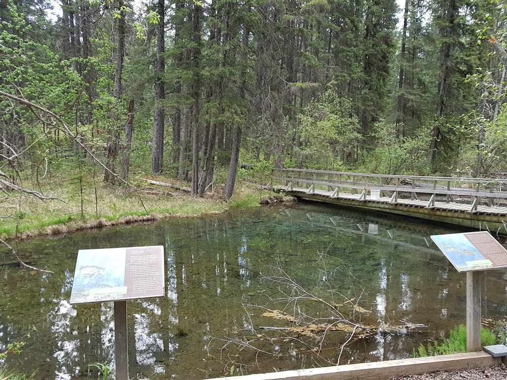 Raven Brood Trout Station | Caroline, AB T0M 0M0, Canada | Phone: (403) 722-2180