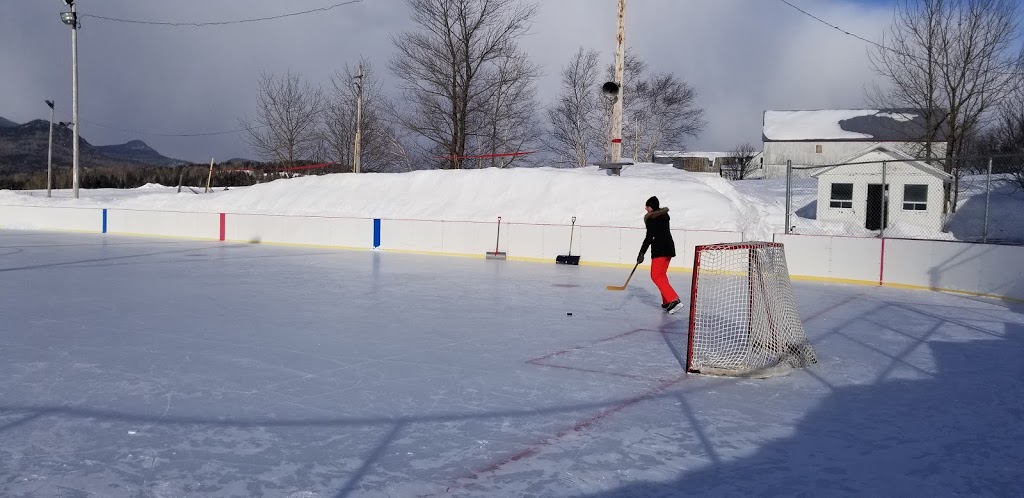 Patinoire municipale extérieure | 2387 Route du Fleuve, Les Éboulements, QC G0A 2M0, Canada | Phone: (418) 635-1026