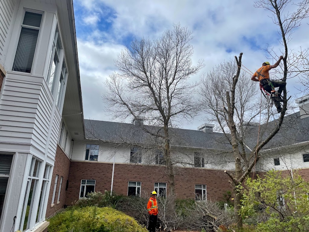 Dagenais Tree Service Ltd | 215 Paul Martin Dr, Pembroke, ON K8A 6W4, Canada | Phone: (613) 732-2426