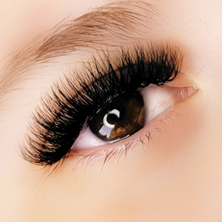 Lash ENVY | 55 Weir Cres, Central Elgin, ON N5R 0L7, Canada | Phone: (226) 448-6405