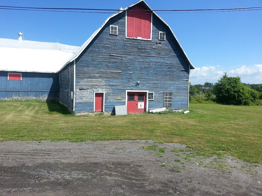 Silver Spring Farm | 1701 Richmond Rd, Nepean, ON K2H 8G4, Canada | Phone: (613) 569-8993