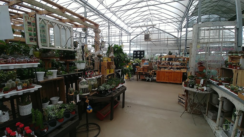 Walters Greenhouses & Garden Centre | 363 Governors Rd E, Paris, ON N3L 3E1, Canada | Phone: (519) 752-4436