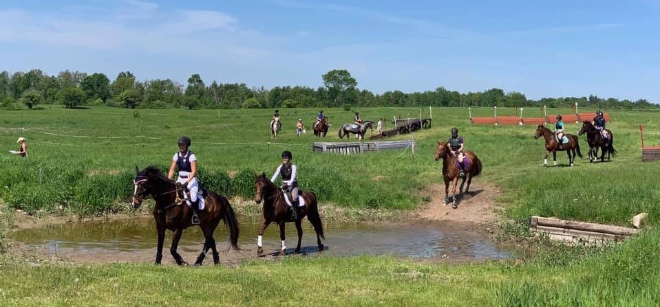 Meadowvale Farm Equestrian Centre | 1247 Corkery Rd, Carp, ON K0A 1L0, Canada | Phone: (613) 256-8170