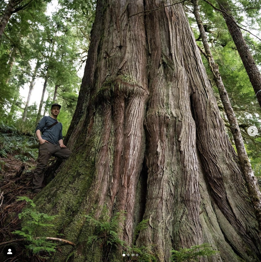 Fairy Creek Blockade HQ | Pacific Marine Rd, Port Renfrew, BC V0S 1K0, Canada | Phone: (250) 387-1715