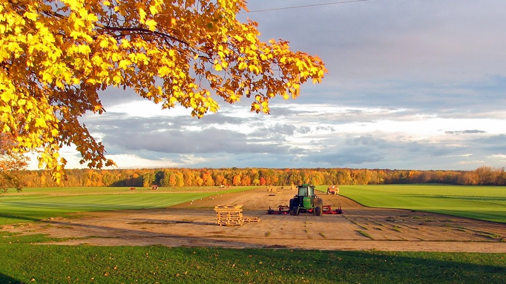 Willowlee Sod Farms Limited | 907 Victoria Rd, Ameliasburgh, ON K0K 1A0, Canada | Phone: (613) 966-0338