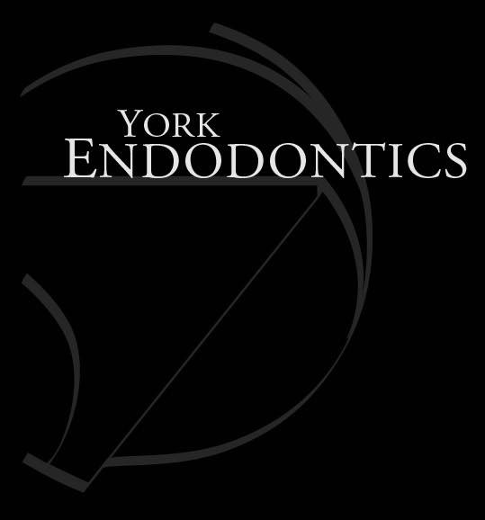 York Endodontics Microsurgery Center - Dr. Daniel C.S. Leung | 16945 Leslie St #21, Newmarket, ON L3Y 9A2, Canada | Phone: (905) 953-4100