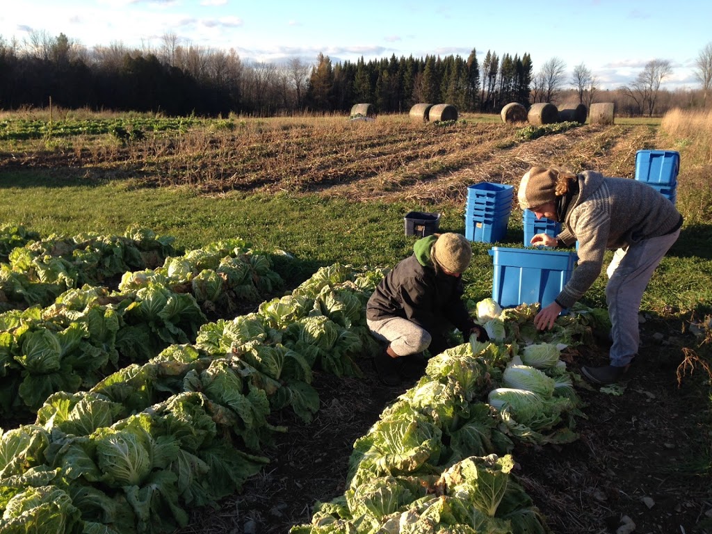 Les Jardins en Mouvement | 2766 Chemin Noiseux, Dunham, QC J0E 1M0, Canada | Phone: (514) 781-2244