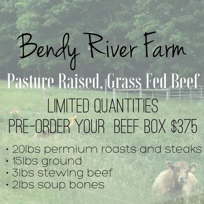 Bendy River Farm | 6230 Deborah Glaister Line, Wellesley, ON N0B 2T0, Canada | Phone: (519) 501-8761