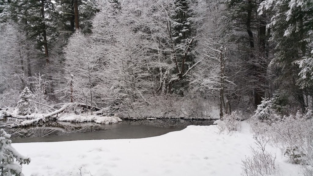 Darke Lake Provincial Park | Okanagan-Similkameen F, BC V0H, Canada