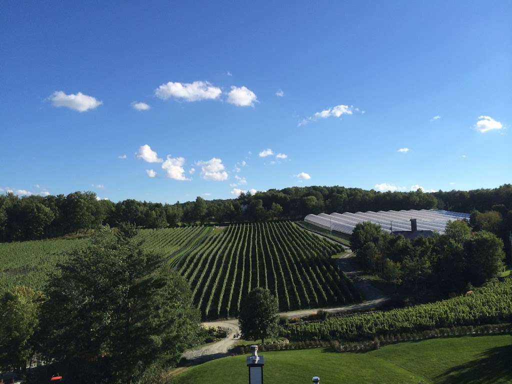 Le Vignoble du Ruisseau | 4500 Chemin Strobl, Dunham, QC J0E 1M0, Canada | Phone: (450) 538-3782