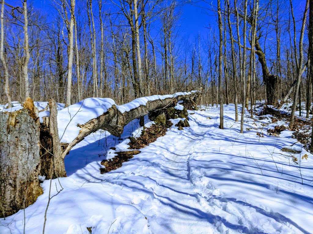 South March Highlands Conservation Forest | S March Highland Trails, Kanata, ON K2K 1X7, Canada