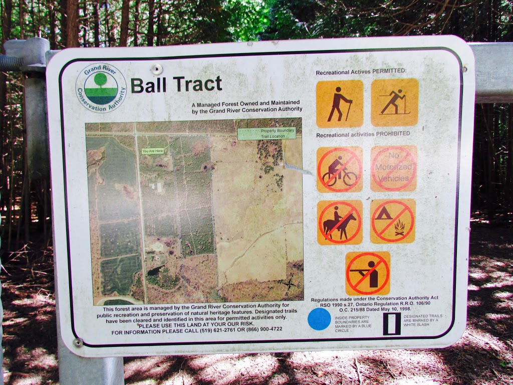 Ball Tract | 6753 Concession 1, Puslinch, ON N0B 2J0, Canada