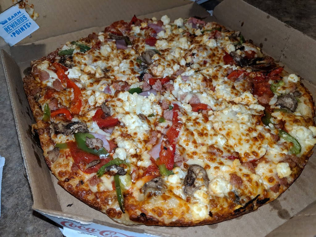 Dominos Pizza Mount Forest | 242 Main St S, Mount Forest, ON N0G 2L1, Canada | Phone: (519) 323-2121