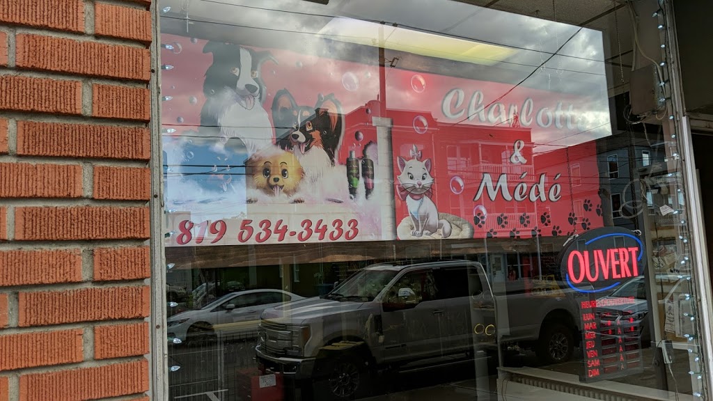 Salon de beauté Charlotte et Médé | 2154 Avenue Saint-Marc, Shawinigan, QC G9N 2J3, Canada | Phone: (819) 534-3433