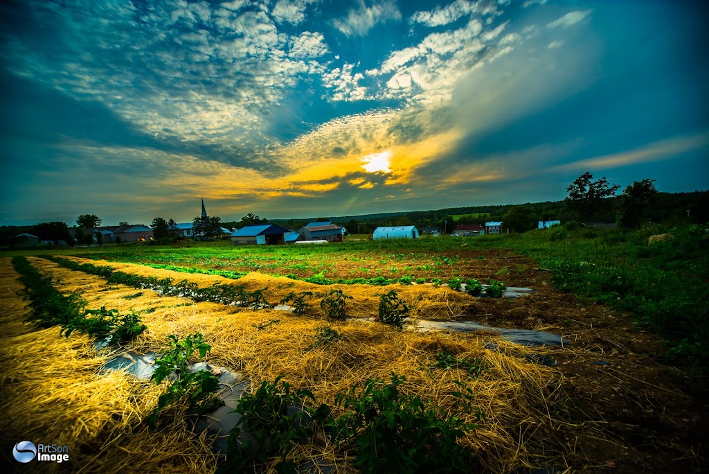 Ferme Manche de Pelle | 936 Rue de lÉglise E, Saint-Nérée, QC G0R 3V0, Canada | Phone: (418) 243-2966