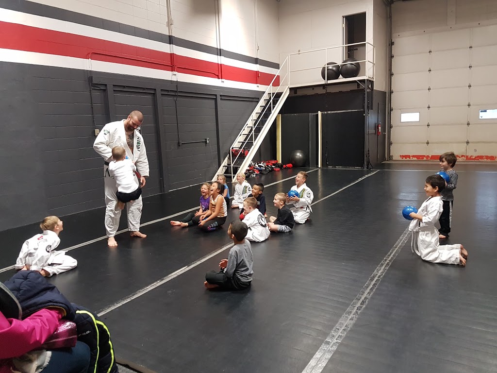 Arashi-Do Martial Arts, St Albert | 44 Riel Dr #135, St. Albert, AB T8N 3Z8, Canada | Phone: (780) 217-0059