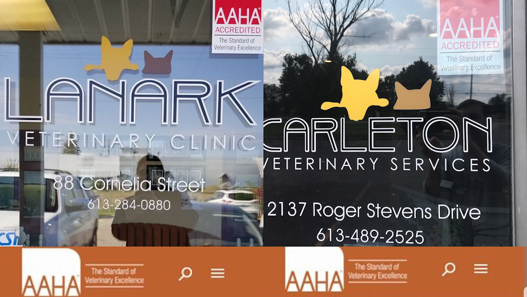 Lanark Veterinary Clinic | 88 Cornelia St W, Smiths Falls, ON K7A 4W7, Canada | Phone: (613) 284-0880