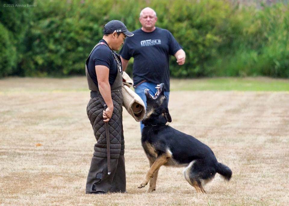 Action K9 Services - Dog Training | 25700 116 Ave, Maple Ridge, BC V4R 1Z6, Canada | Phone: (604) 722-3079