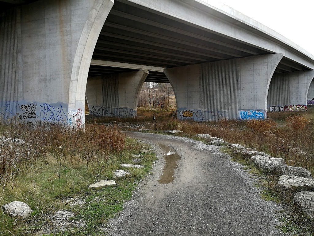 The Bear Meeting Place | Kings Forest Lower C, Hamilton, ON L8K, Canada