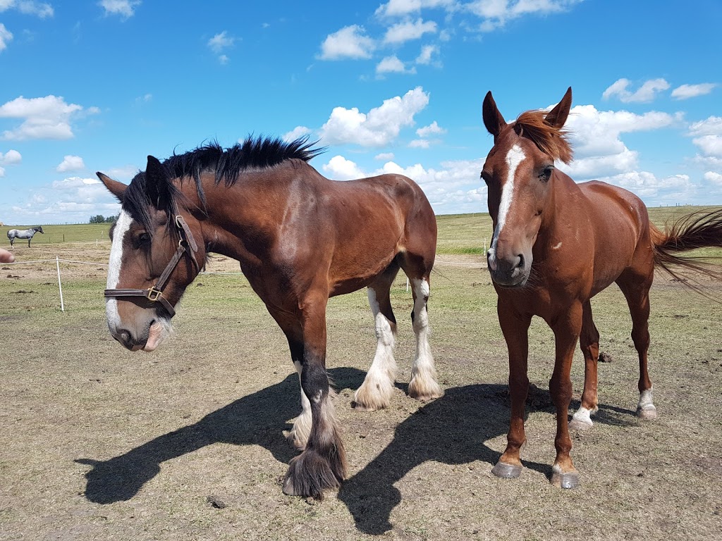 Judsons Journey B&B | Wheatland County, AB T0J 1Y0, Canada | Phone: (587) 999-5262