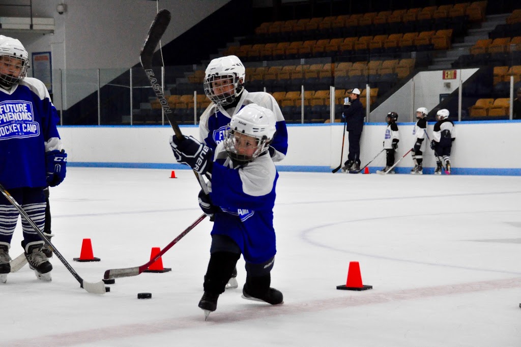 Future Phenoms Hockey Camp Inc. | 50 Pomander Rd, Unionville, ON L3R 1X7, Canada | Phone: (289) 231-3372