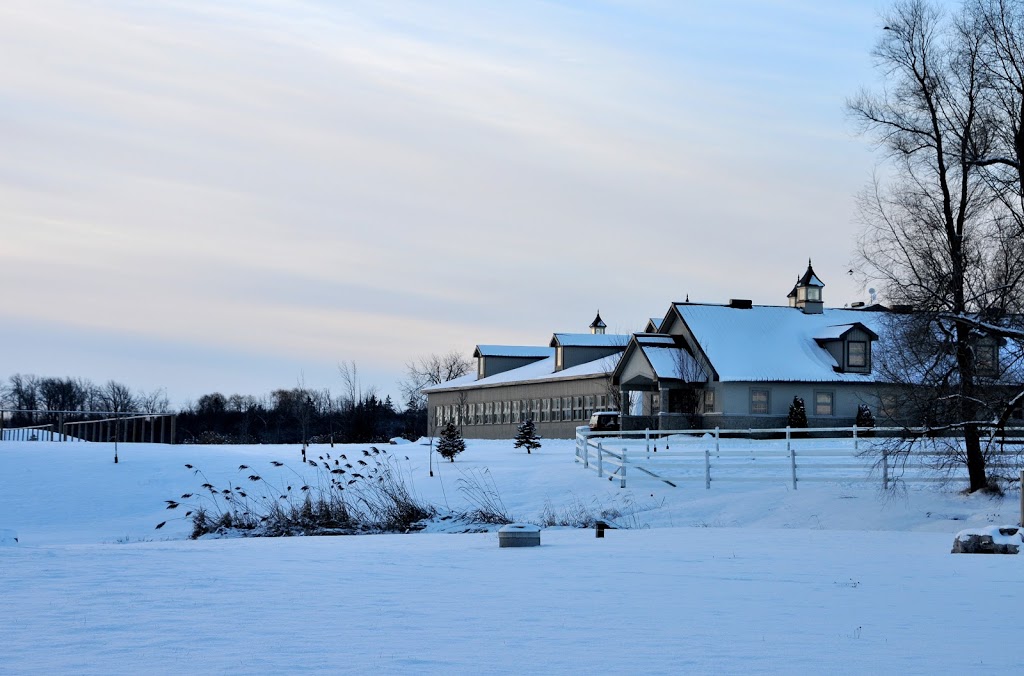 Top Rail Stables Inc. | 16406 5 Sideroad, Norval, ON L0P 1K0, Canada | Phone: (905) 877-8007