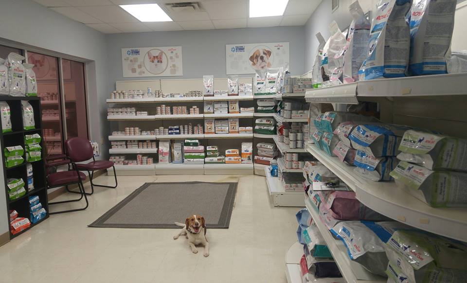 Park Road Veterinary Clinic | 9-627 Park Rd N, Brantford, ON N3T 5L8, Canada | Phone: (519) 759-3031