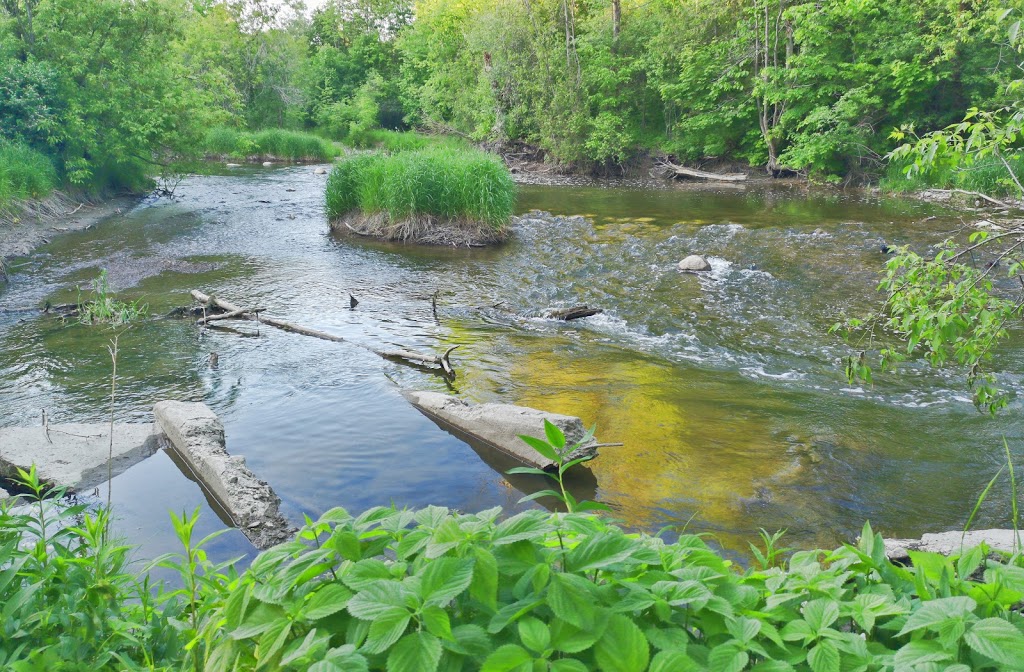 Nature Therapy Trail | Tuclor Ln, Markham, ON L3P 3C6, Canada