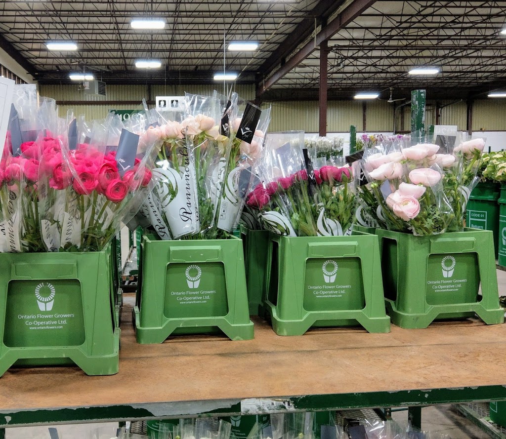 Ontario Flower Growers Co-Op Ltd-Auction | 910 Mid-Way Blvd, Mississauga, ON L5T 1T9, Canada | Phone: (905) 670-9556