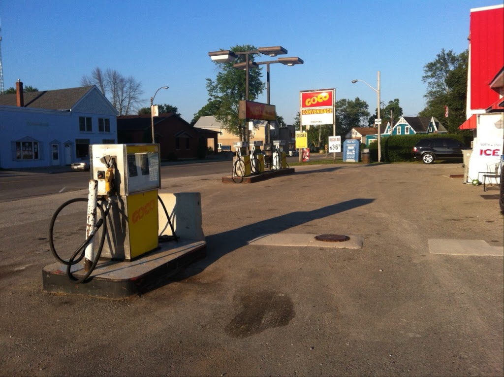 GOCO gas station | 78 Main St, Thedford, ON N0M 2N0, Canada | Phone: (519) 296-5860