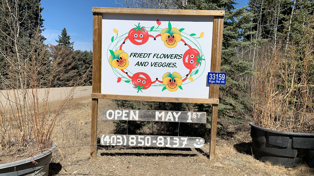 Friedt Flowers and Veggies | 33159, Range Rd 44, Sundre, AB T0M 1X0, Canada | Phone: (403) 850-8137