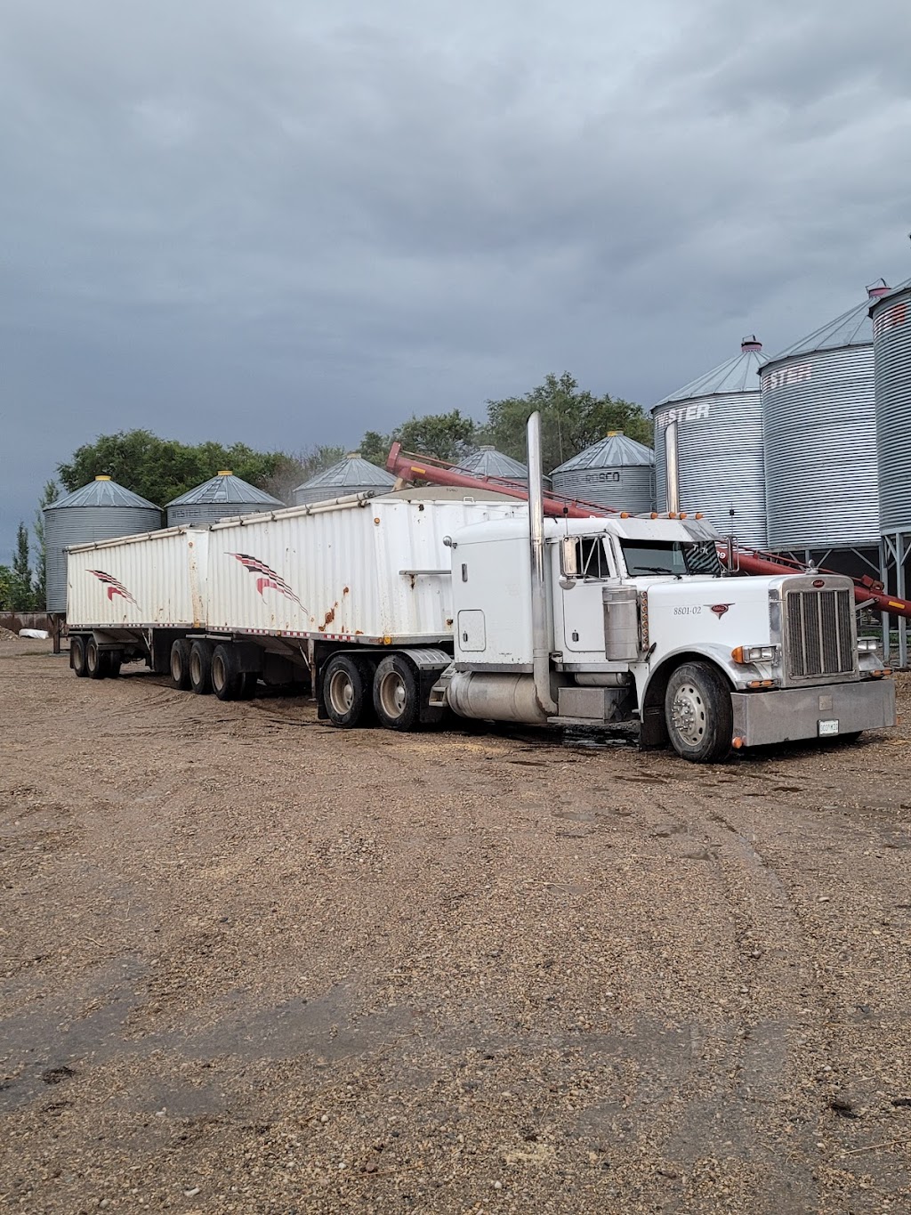 Hard Work n Haul | Box 54, Middle Lake, SK S0K 2X0, Canada | Phone: (306) 231-5007