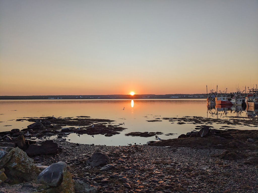 Acadian Fish Processors LTD | 202 DENNIS RD, Middle West Pubnico, NS B0W 2M0, Canada | Phone: (902) 762-2700