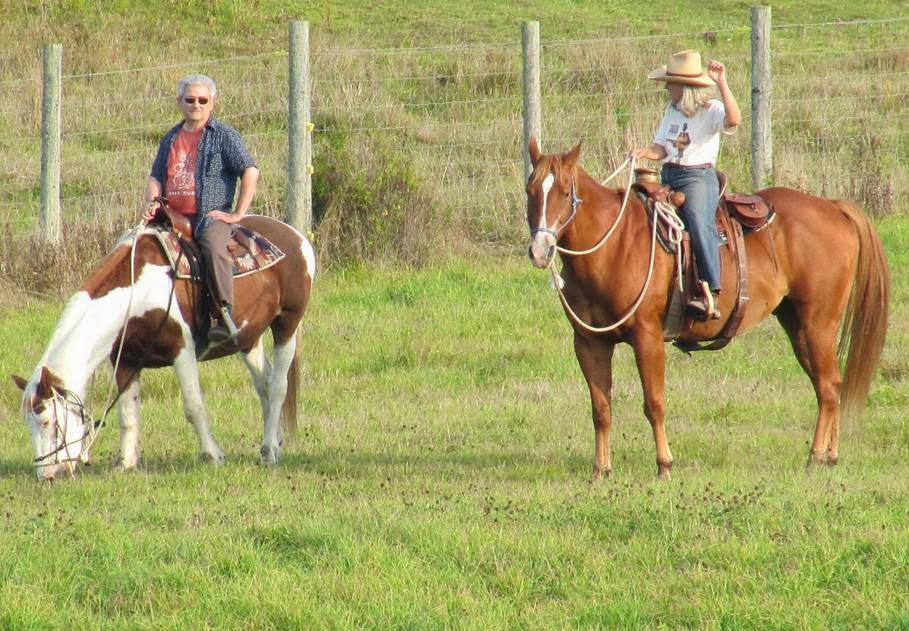 Winding Fences Farm | 1102 Ambleside Ln, Utterson, ON P0B 1M0, Canada | Phone: (705) 769-1418