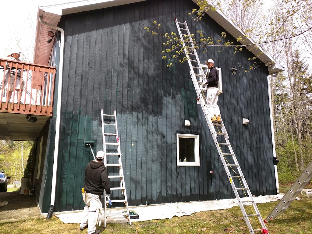 Pro Painters | 607 Bondi Ave, Newmarket, ON L3Y 8S8, Canada | Phone: (647) 277-4767